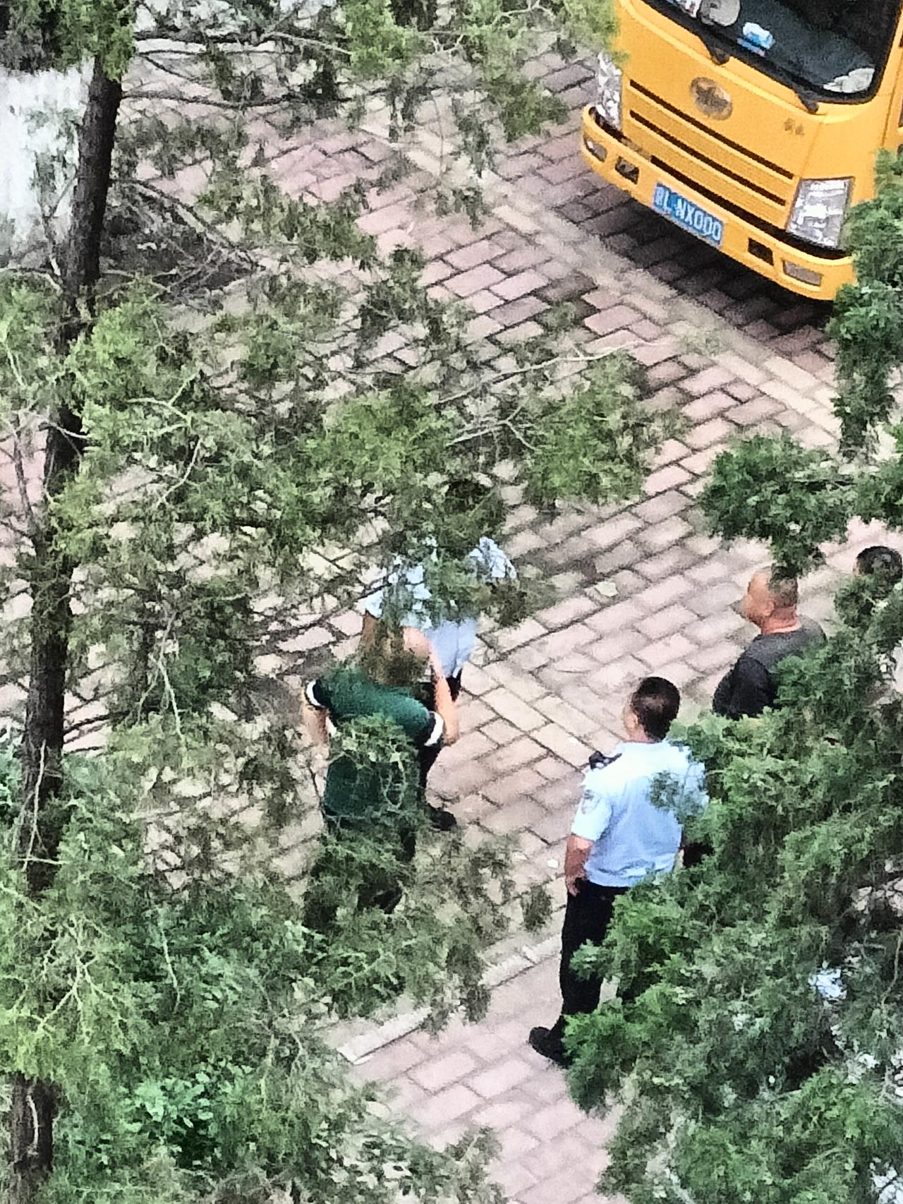 昨天下午大概5点钟左右，被楼下的吵架声惊到，最后吵到把警察都“邀请＂来了！我