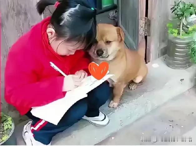 小主人拉着狗狗一起学习。狗狗或一脸无奈，或乖巧配合。有些狗狗眼神中透出生无可恋，