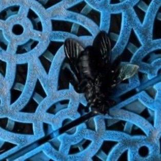 最近三亚亚龙湾美高梅度假酒店出了一档子让人揪心的事儿——62岁的姥姥带着1岁的小