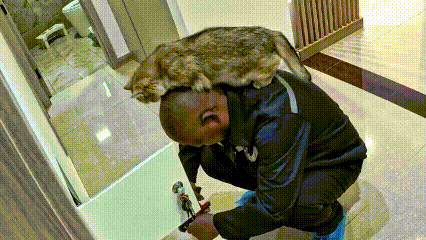 瞅瞅这画面，我都笑出声了。家里来个修东西的光头师傅，正埋头忙活呢，也不知道猫咪咋
