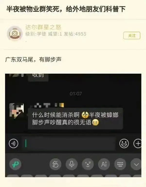 脚步声？真的假的？我需要广东网友！​​​