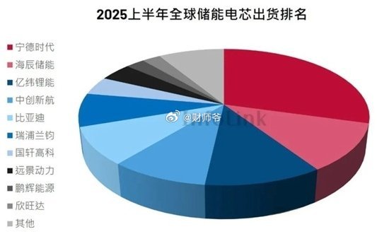 2025年全球储能电芯销量排名​​​