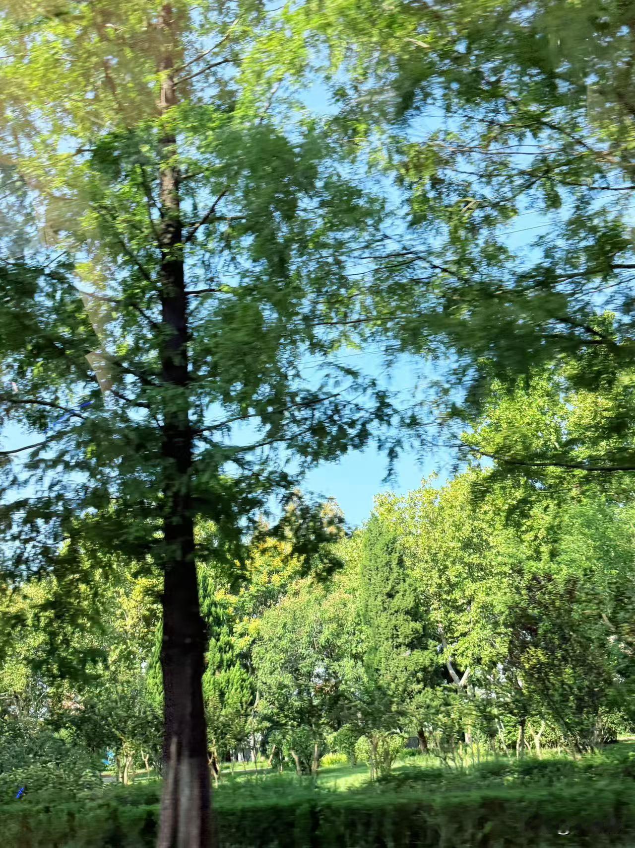 当你穷的连屎都吃不上的时候第一个站出来落井下石看笑话的并不是那些狐朋狗友，而