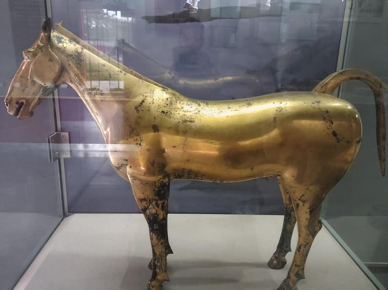 大毛:鹰酱，你动作要快哦？鹰酱:什么动作？