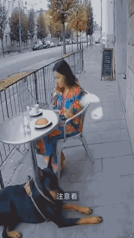 太不可思议了女子在家门口打瞌睡时，脚边的狗狗突然发疯般将她顶向墙面。就在她困惑