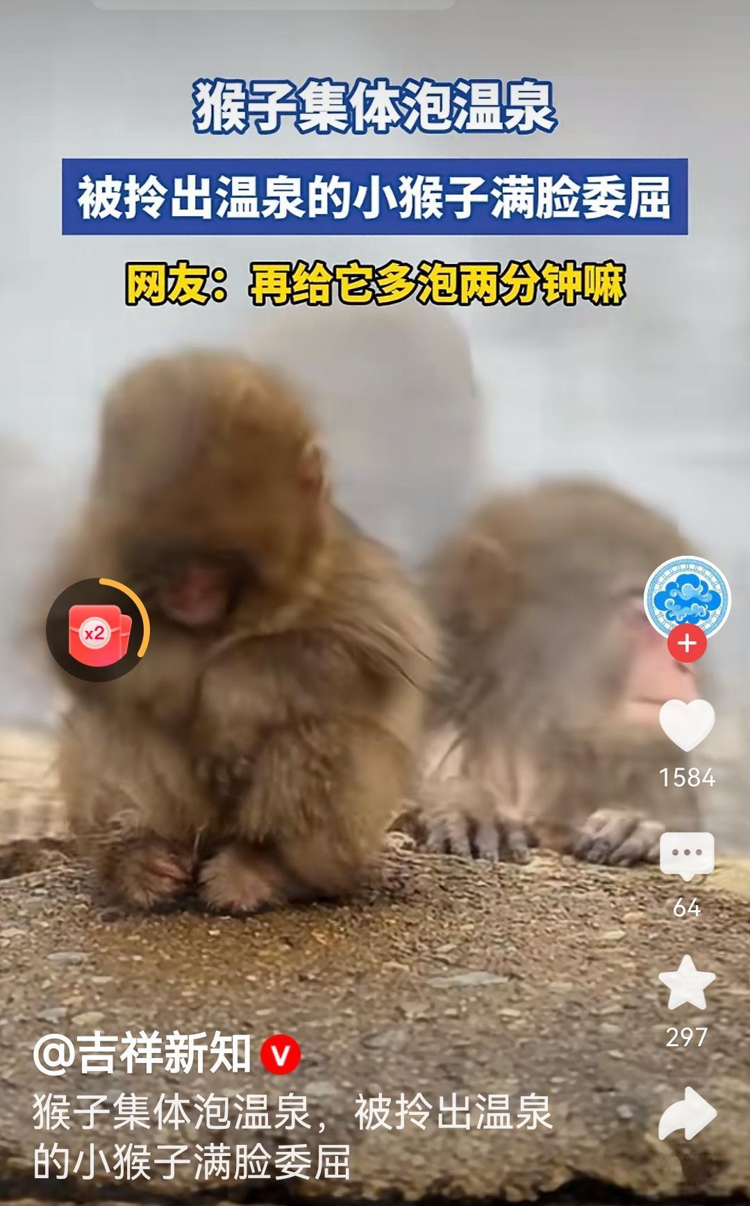像不像被边缘化的人类