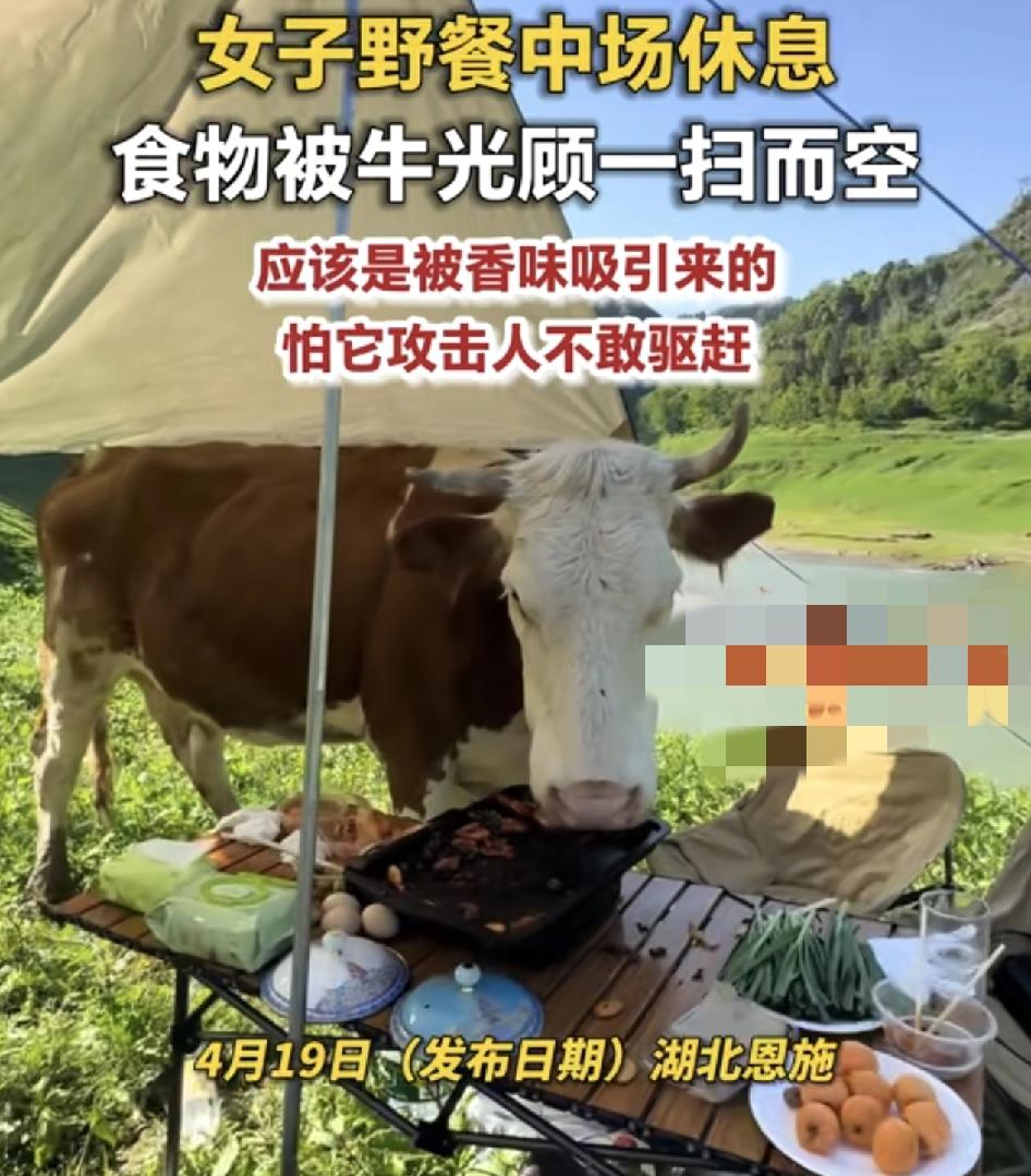 湖北恩施一女子发布视频称与朋友在郊外野餐时，准备了不少的水果饮料等等食物，吃到一