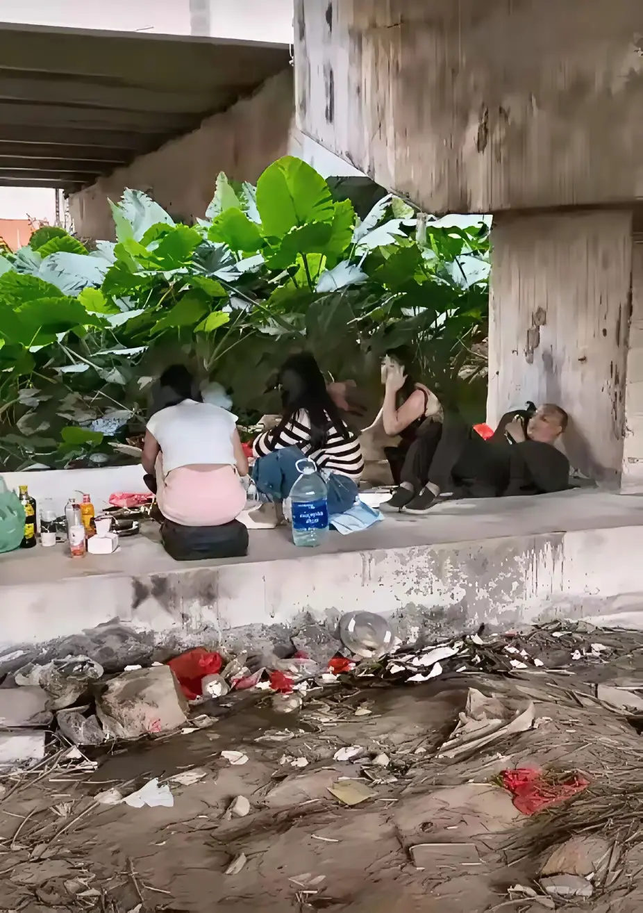 不服不行啊！流浪也能达到如此境界……