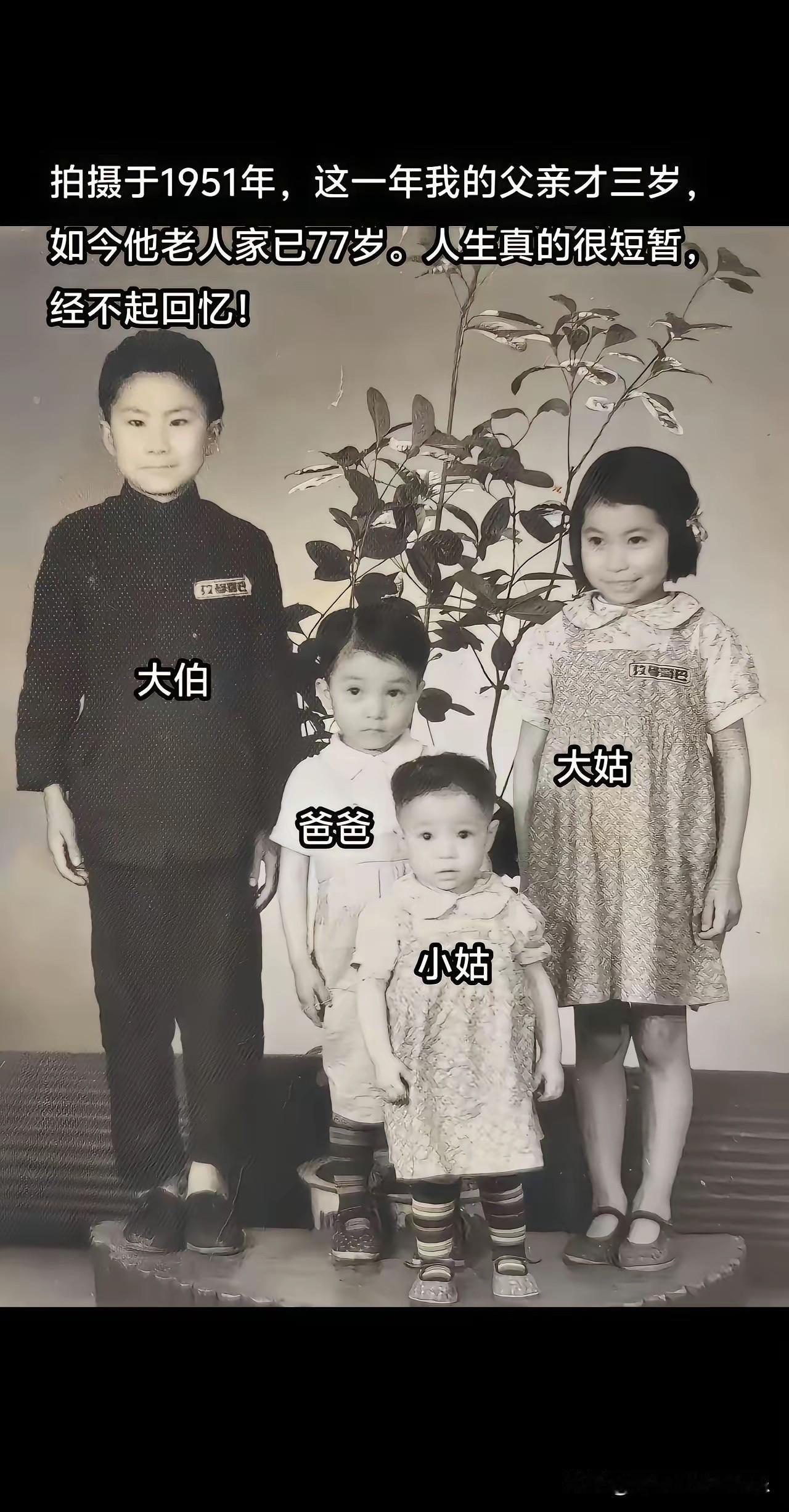 不得不说，在那个年代，这样的家庭已经打败全国70%的家庭了吧？