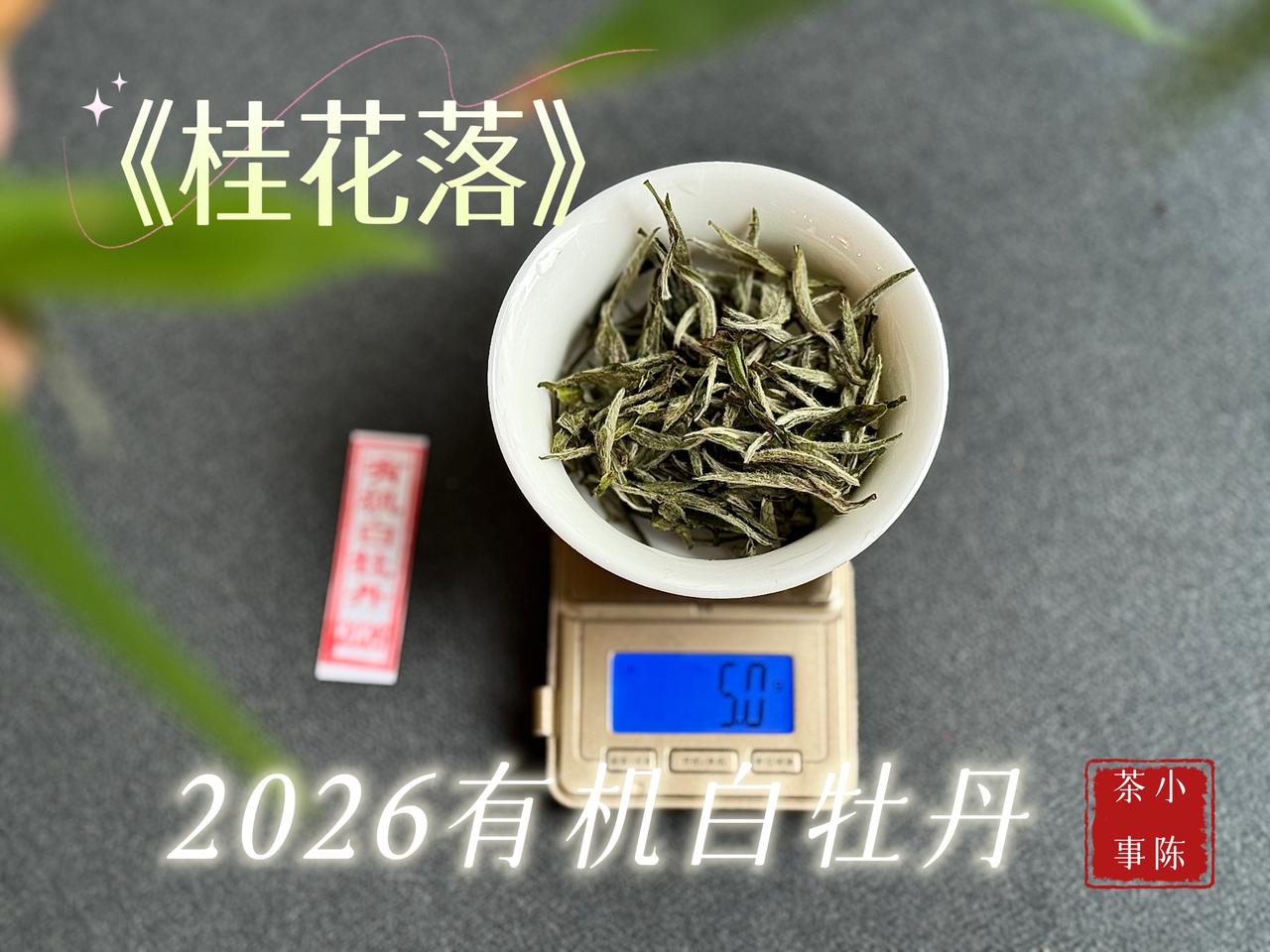 第一泡茶到底要不要洗？谁懂啊！喝茶多年习惯性倒掉第一泡，一直以为洗茶能去灰去农