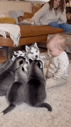 好可爱的小狗狗呀