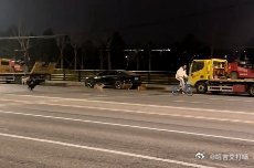 凤凰新闻【海淀一地现大批流浪狗追咬骑行者，目击者：二三十只，分两个狗群】3月21