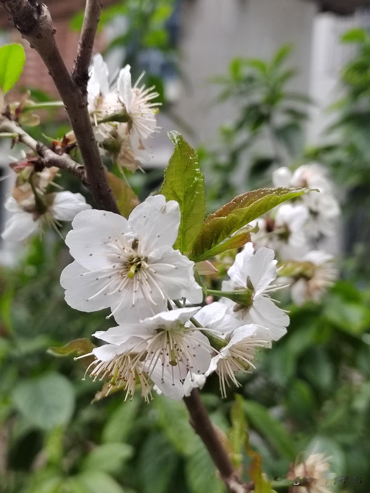 老年人免费体检前几天社区医院家庭医生帮老伴预约了今天参加老年人免费体检。早上起