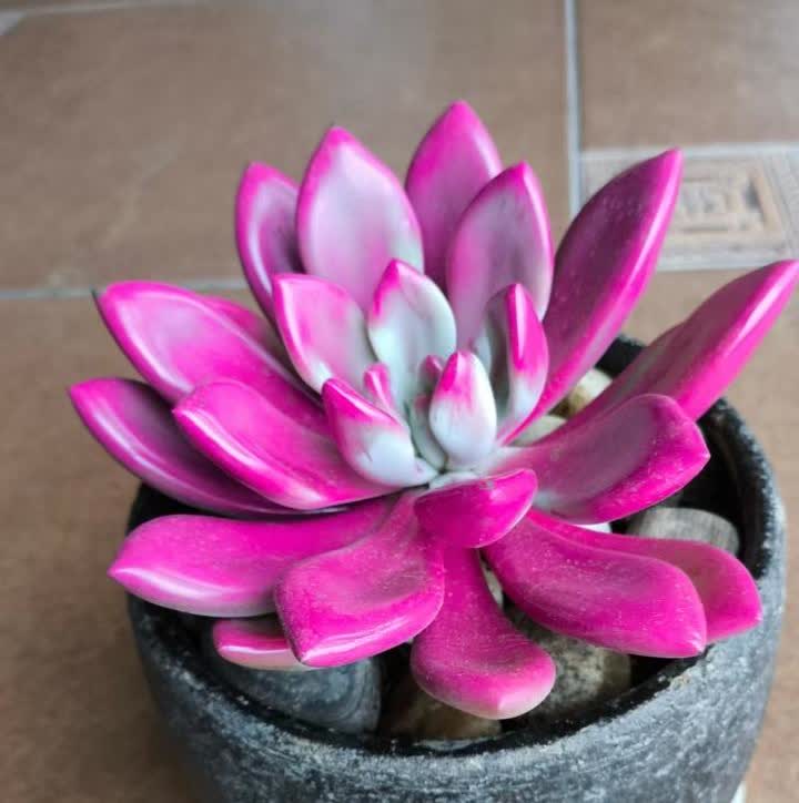 不吐不快，永州队这名官员长点心：主教练做战前动员，拜托兄弟们加油，他刷手机，面无