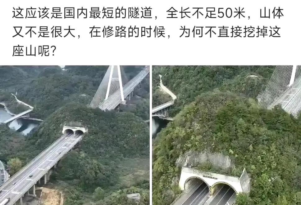 总有人觉得自己比专业人员更聪明​