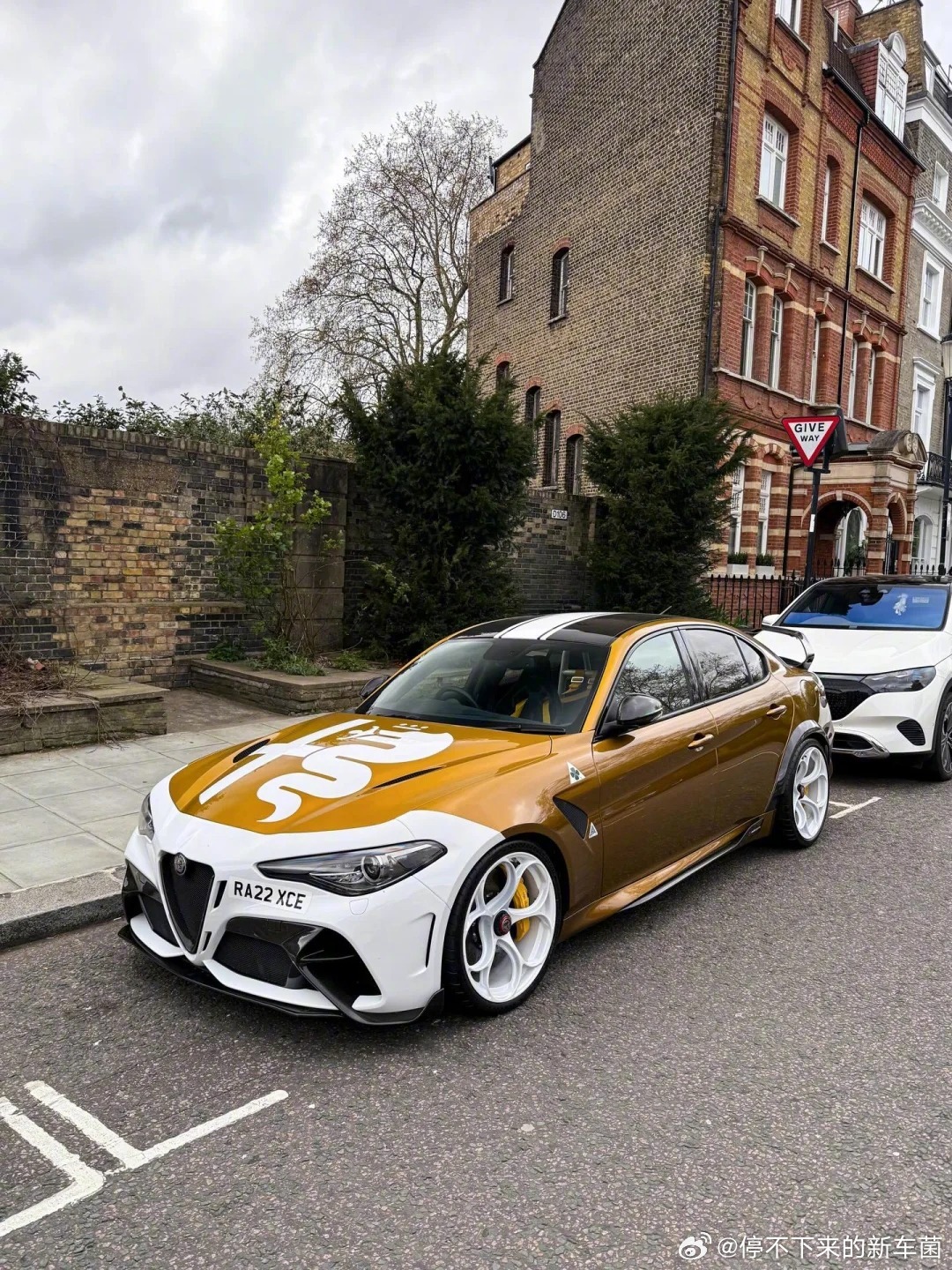 阿罗完全可以低调，这个有点太高调了吧