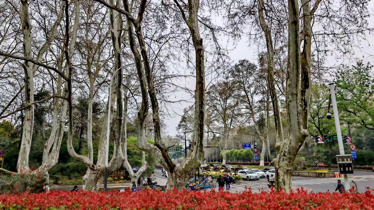 老了以后，最好的活法：把自己当回事，把儿女当外人人这一辈子，年轻的时候拼事