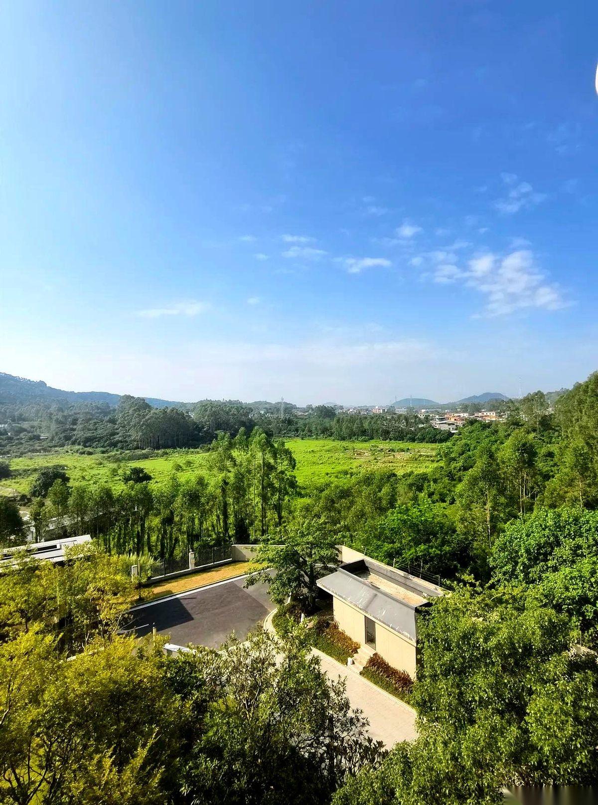 我跟你讲个邪门的事儿。一千万砸下去，3个月就收回来了，你敢信？就一个KTV，