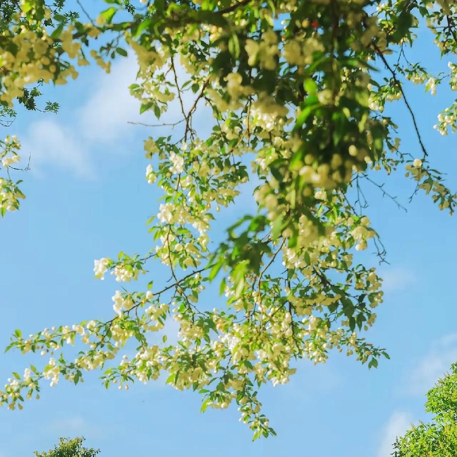 不管在哪上班，都要注意以下几点领导再不好，也不要说出来与同事关系再好，也不要