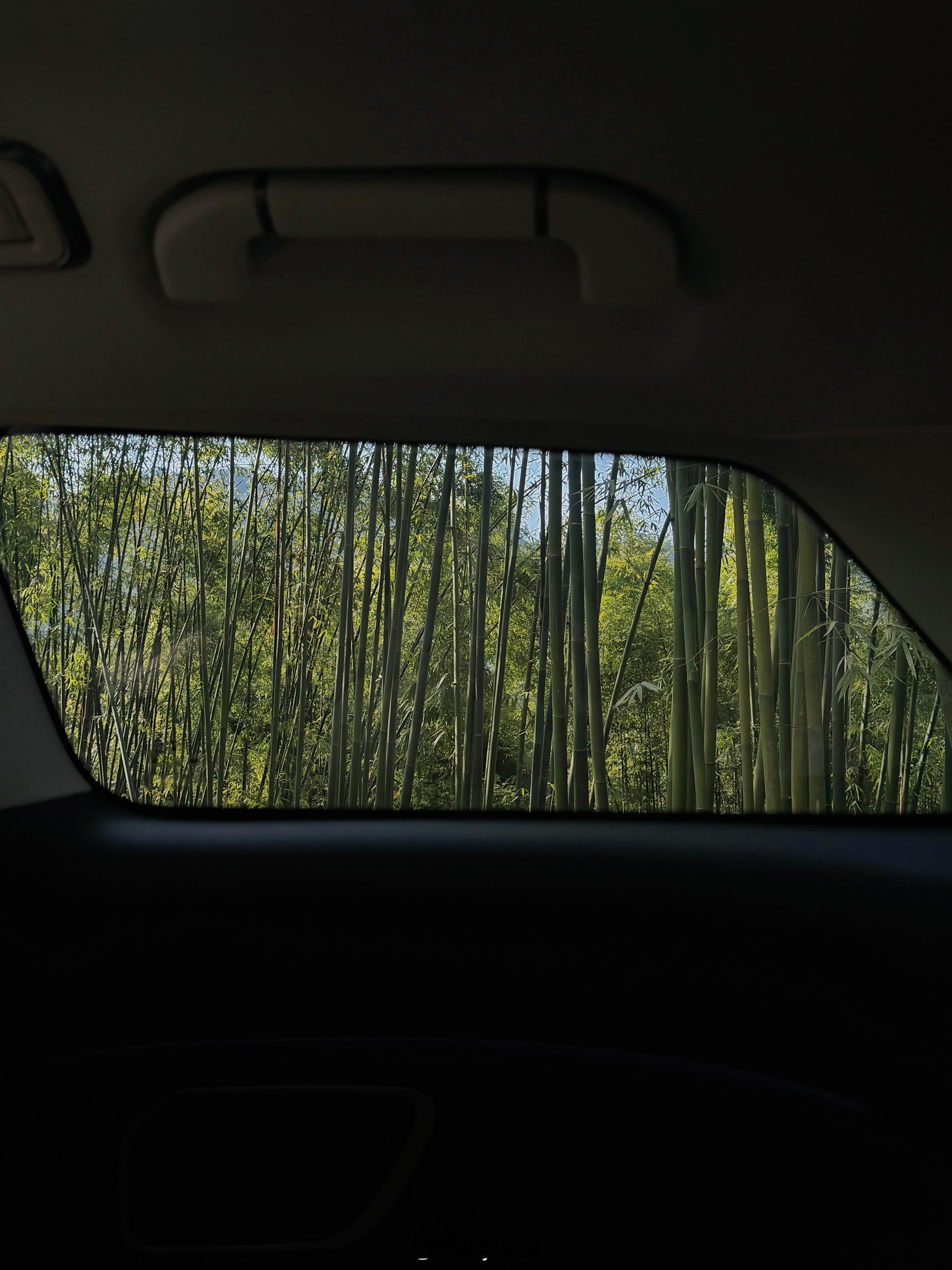 周末爬山的小快乐