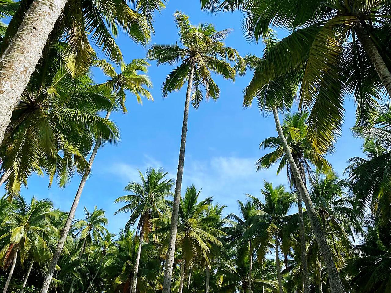 退休后还有异性主动接近你，一般就这4个目的！1.惦记你手里的退休金和存款。