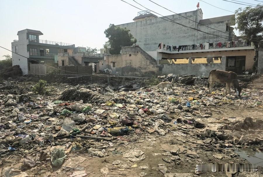 两张图片说明印度的环境有多脏！分别是哈里亚纳邦法里达巴德郊区和位于孟买君悦酒店仅