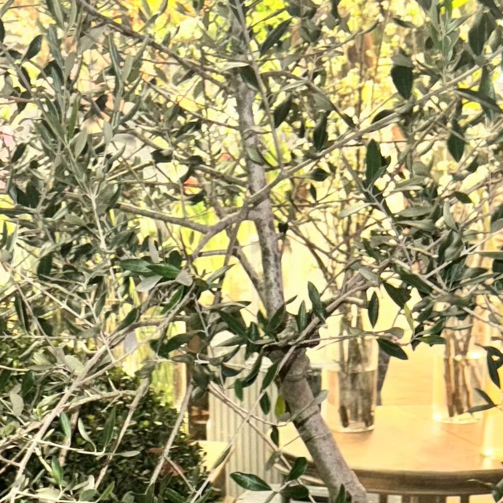 0000善是一种自然的流露，没有一点造作，没有一点企求，像水一样一往无前地流动，