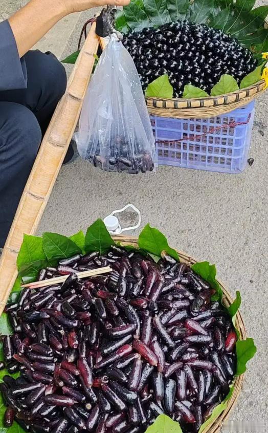原来真的有很多人分不清！两个都是葡萄啊！​​​