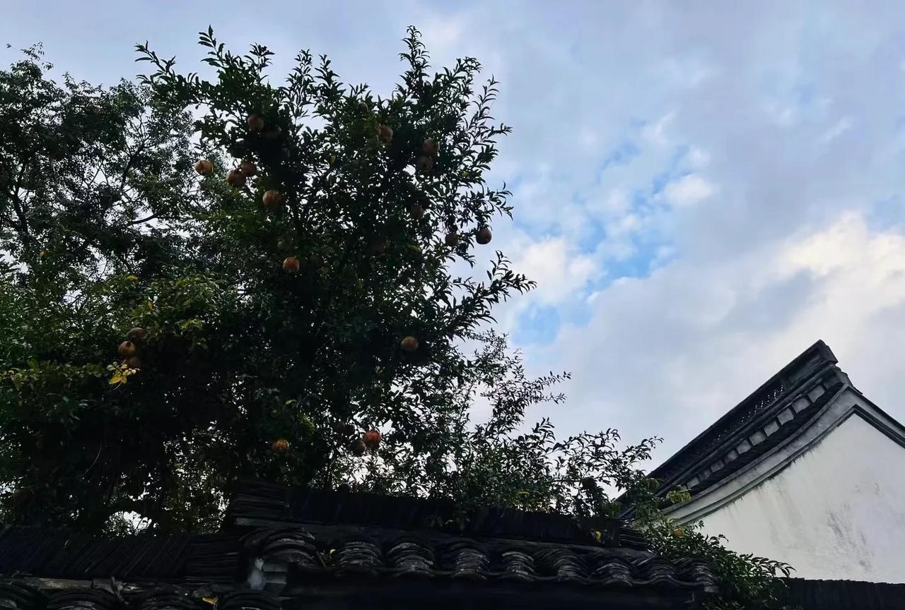 职场情场变修罗场！渣男同事酒店偷情被捉奸，全公司围观社死现场！