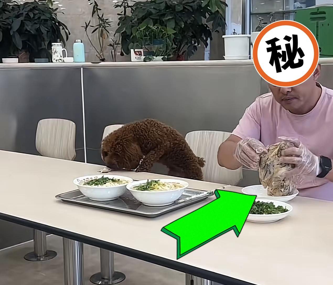 全沈阳都在找这个大哥，他欠老四季一个道歉，更欠沈阳人一个交代！不得不说，这个