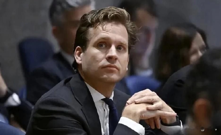 11月19日，荷兰公开对中方服软，声明中有一句话特别有意思！当天，荷兰经济事