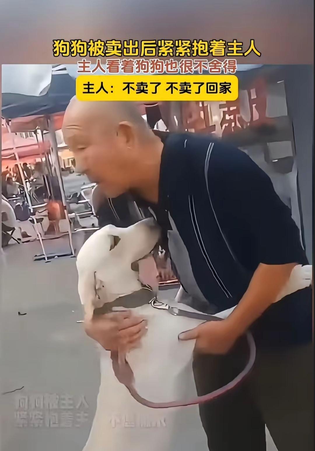 连科学都无法解释关键时候狗比人还重感情!一位大哥因为菜市场搬迁没办法要搬家，