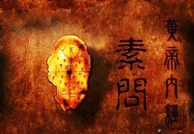 食后即欲便，中医诊治方方面面从中医理论来看，饭后即刻欲排便（中医称“饮食入口即
