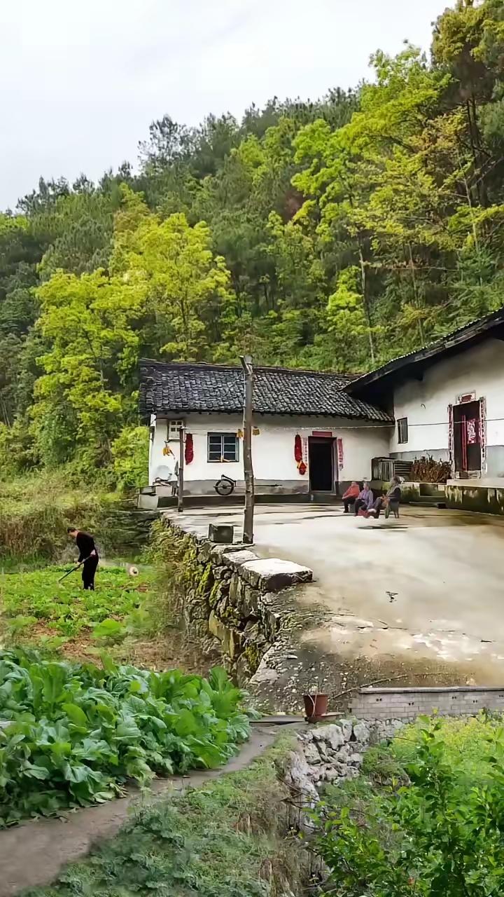 一位退休教授说出让我醍醐灌顶的话：“父母能活到八九十岁，其实是几世修来的福气。