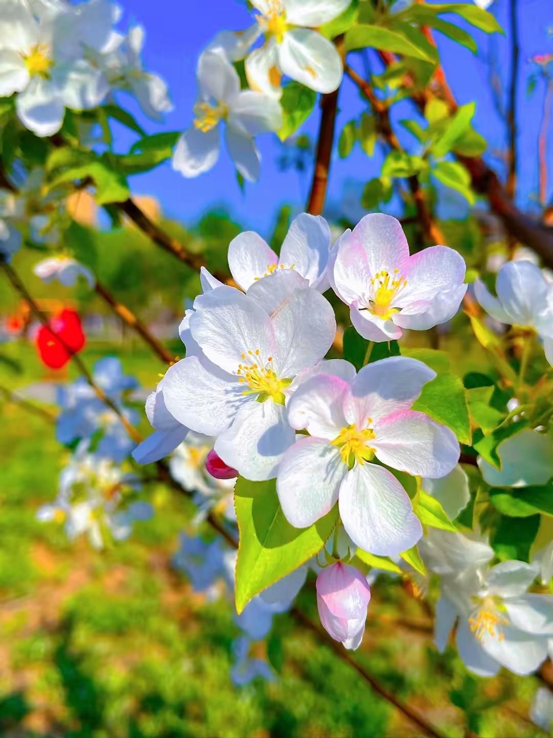 时间从不回头，生活也从没有如果。所有错过的、遗憾的、来不及的，都不会重来。