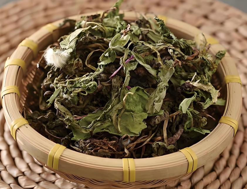 农村路边有3种草，竟是肝病天敌，帮你远离乙肝肝硬化！咱们农村路边藏着三种不起