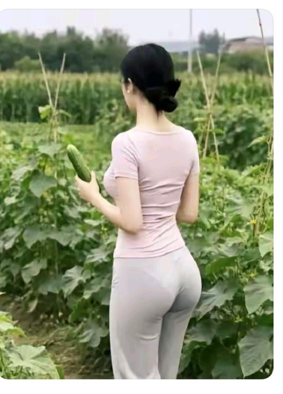拌凉菜菜园品种还挺多；最出色的是黄瓜；弄根黄瓜拌凉菜；凉菜必有大拉皮；