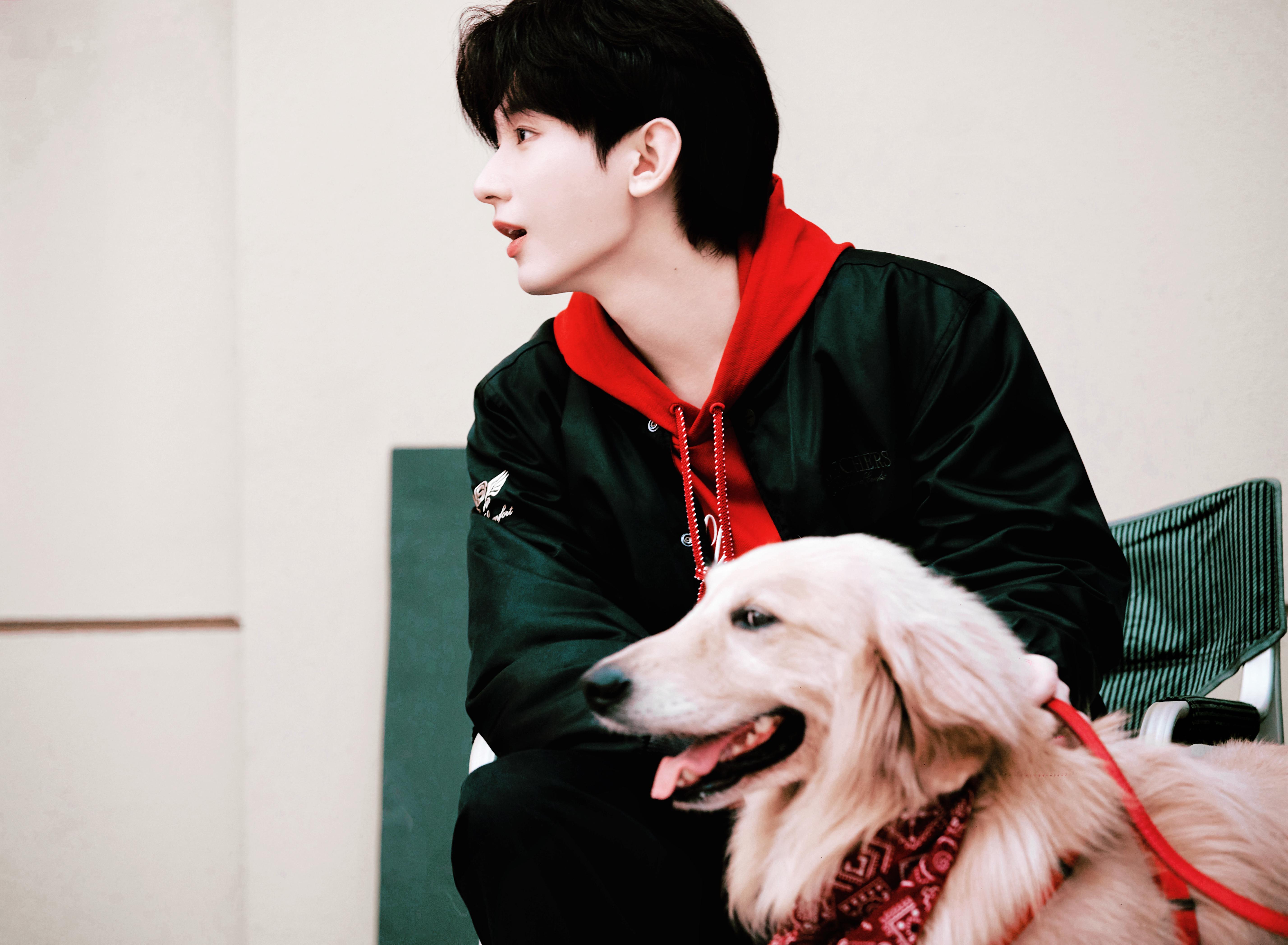 🧨除夕快乐！🧨🧨新年快乐！🧨成毅|2026与成毅共赴新章