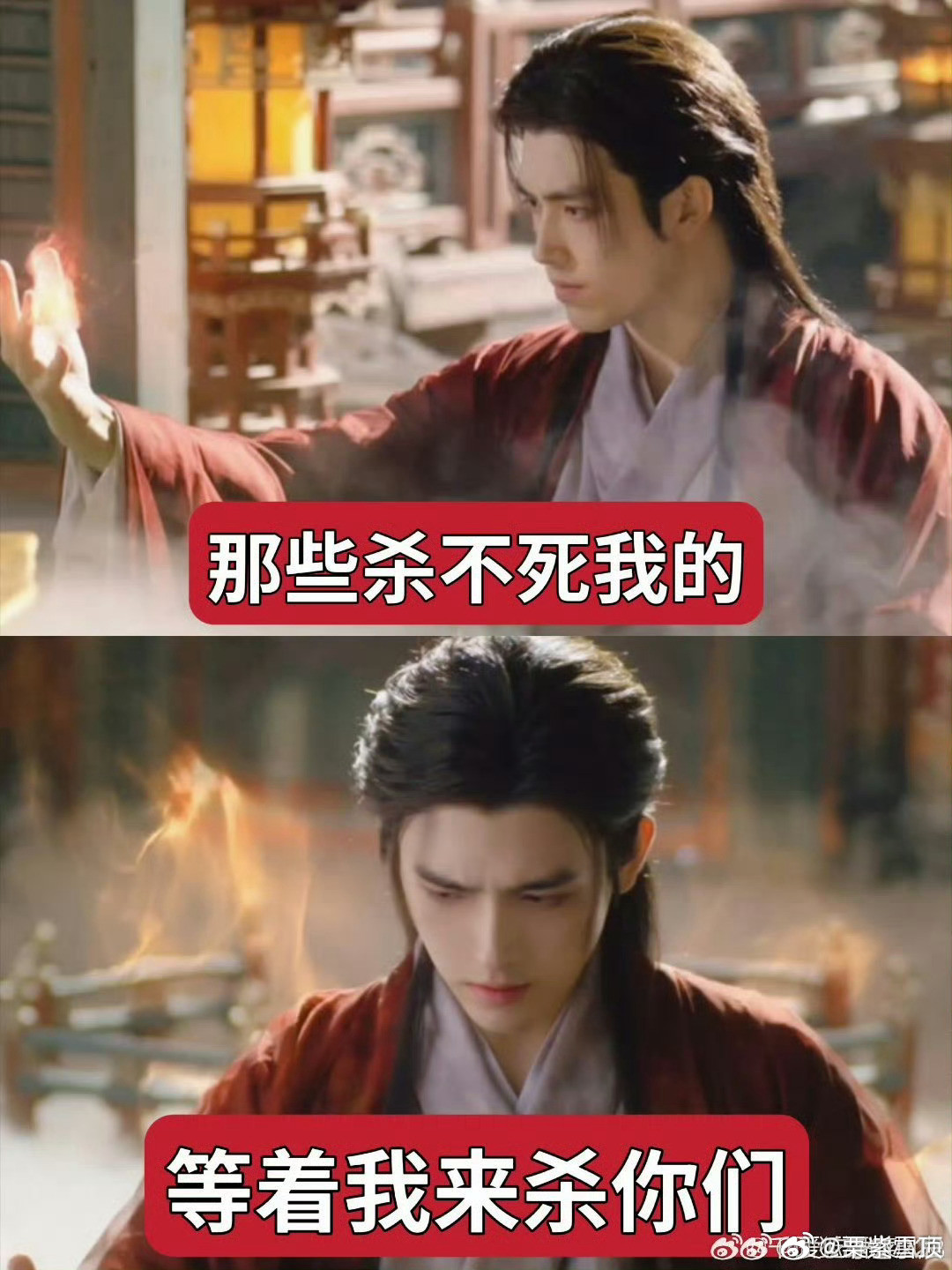 《献鱼》开播炸裂！司马焦暴躁师祖在线教学
