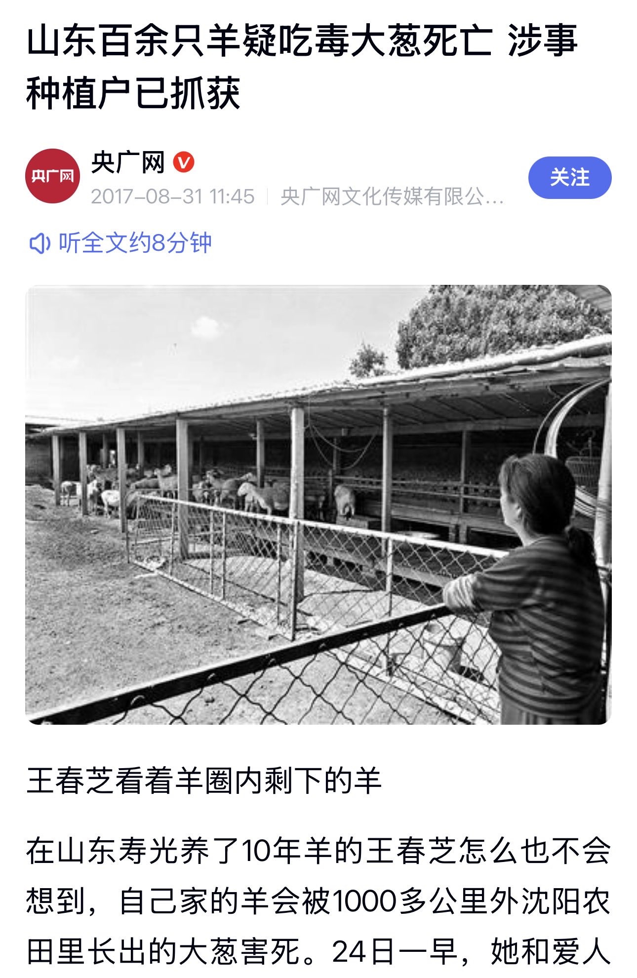 甲醛白菜这种事不是一天两天了，看到一个老闻：为了省钱大姐去捡批发市场外面掉落的葱