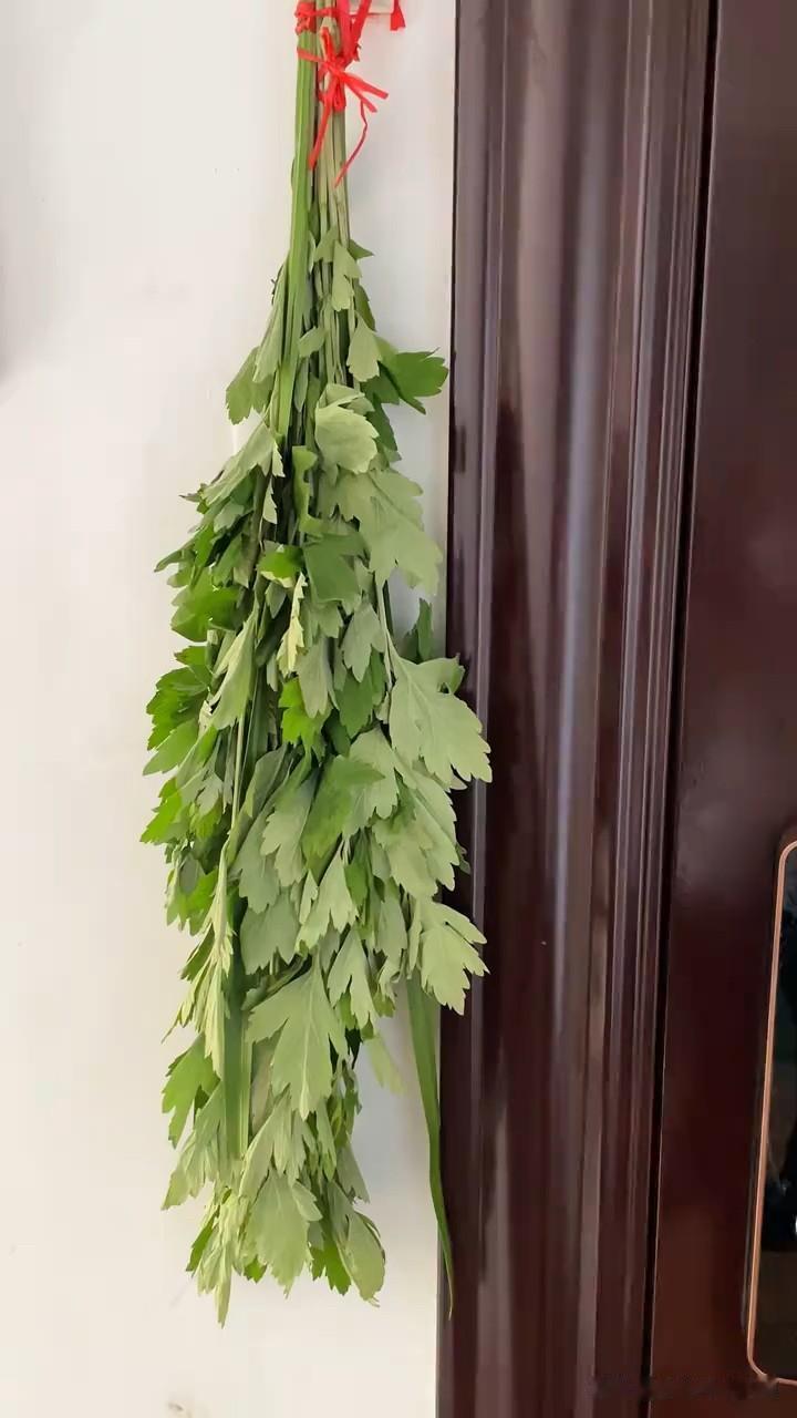 端午节挂艾草传统别丢，1不采2不挂3要吃4要忌日子过得真快，6月19日就是端