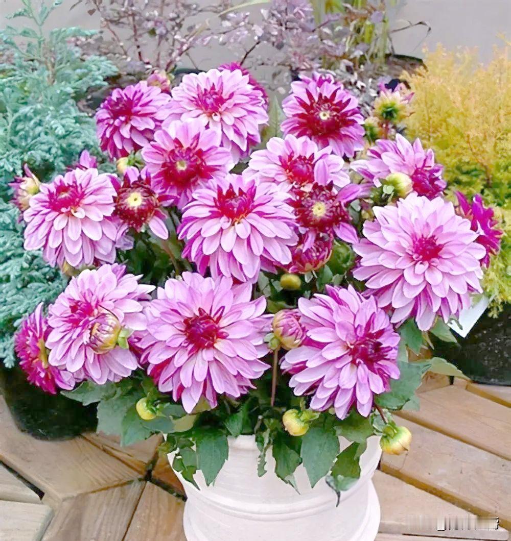 我老公的弟弟是个狠人，小学毕业娶了个文盲，俩口子加起来识一箩筐字。一个在仓库