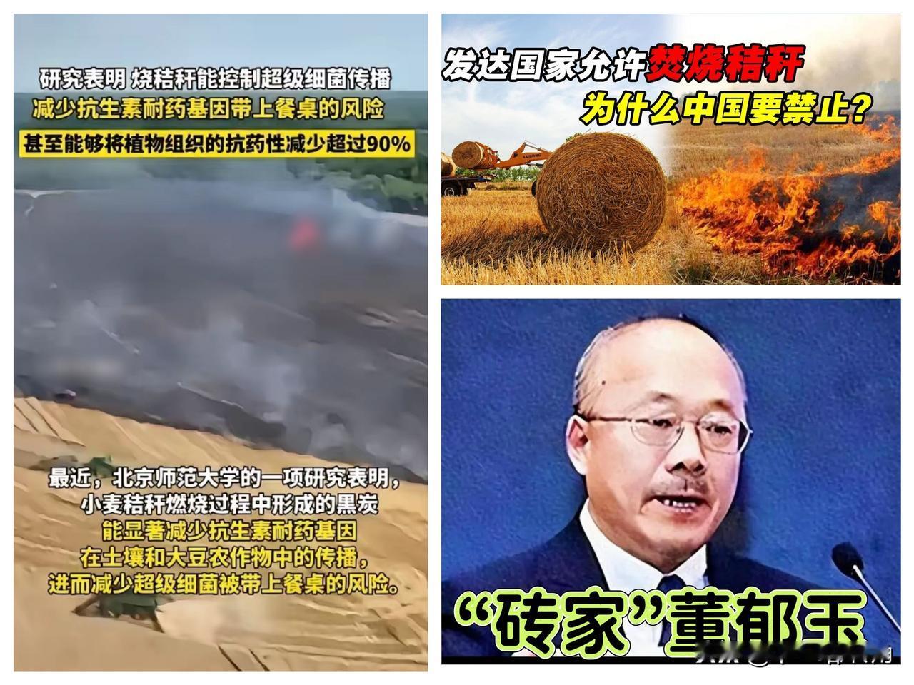 日本间谍的“环保毒计”？禁烧秸秆让中国农业付出惨痛代价！