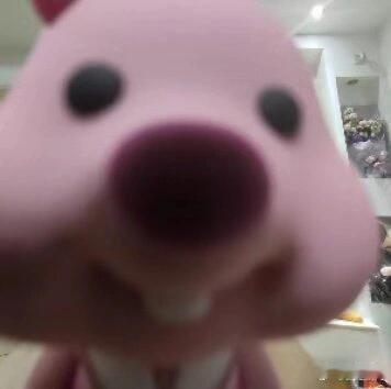 健身撸铁练一半，就肚子疼然后来上厕所了，换以前我肯定坚持练完再上，现在感觉没