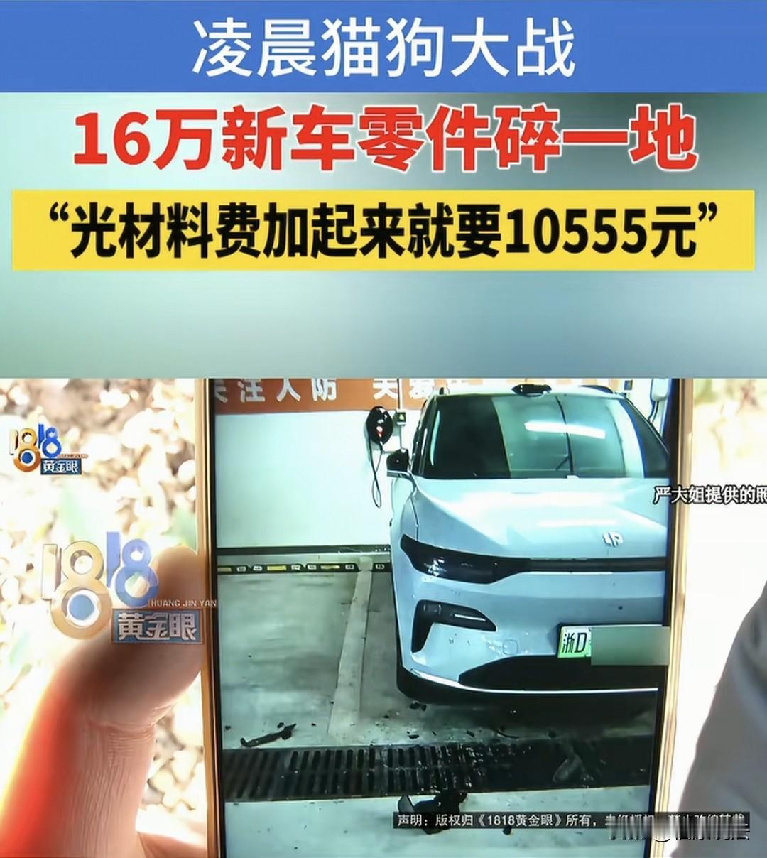浙江绍兴，女子刚买了3个月的新车，价值16万，一天凌晨4只狗追1只猫钻进车底，将