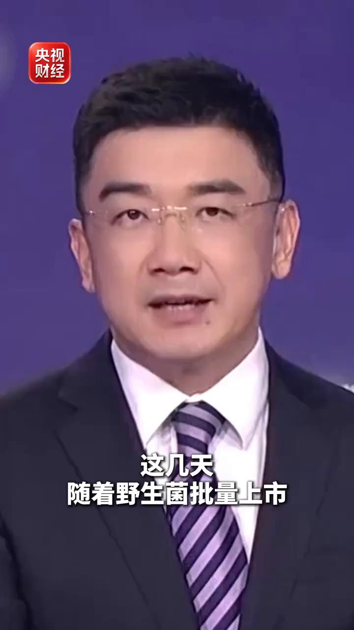 央视财经。这几天随着野生菌批量上市，位于云南昆明的大型野生菌交易中心单日交易量