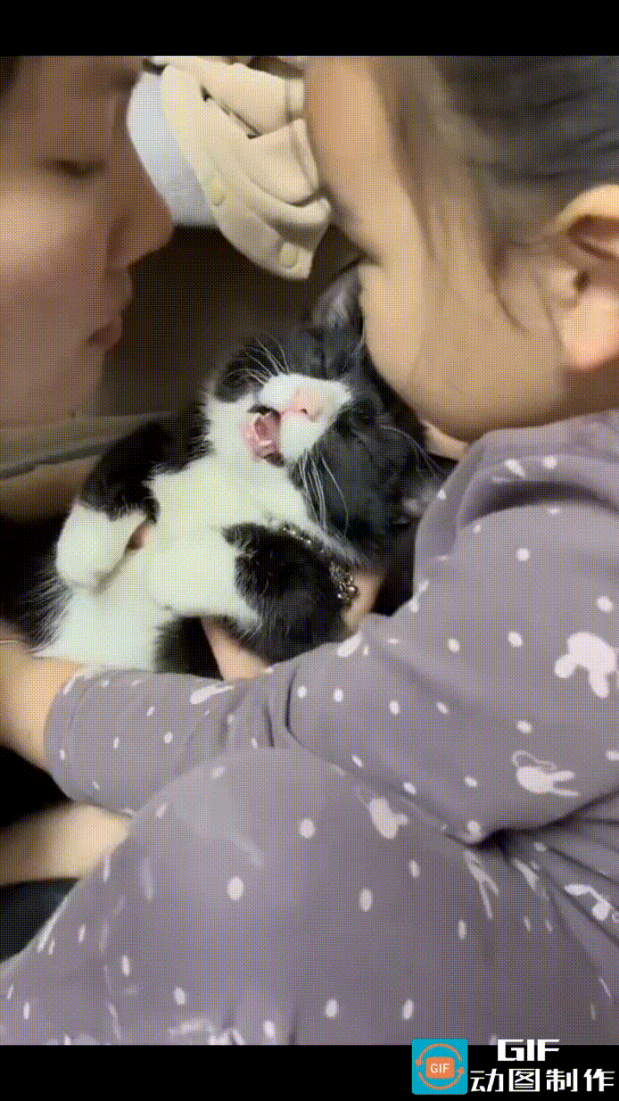 小奶猫被两个小美女抱着轮流亲吻，左一口，右一口，开心得嘴巴都合不拢，那双无处安放