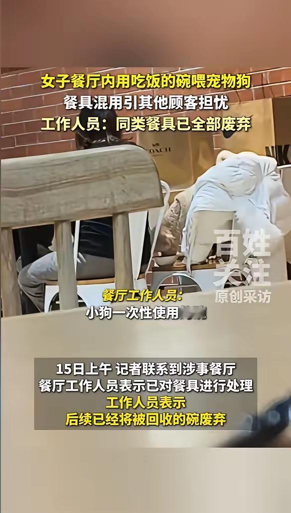 近日，北京某家餐馆，一美女正在就餐，她的狗狗在椅子上用餐厅的公共餐具也在就餐。