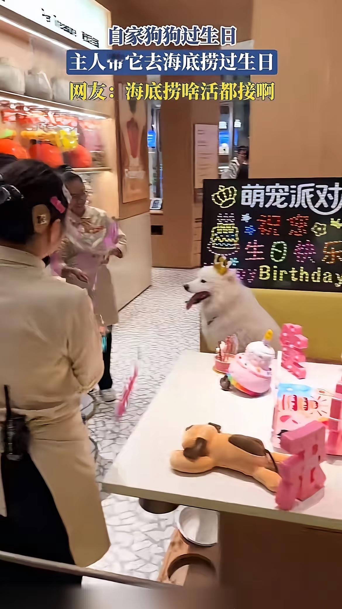 海底捞门店给宠物狗庆生引发炸锅。网友爆料某分店默许顾客带狗庆生，店员还围着唱生日