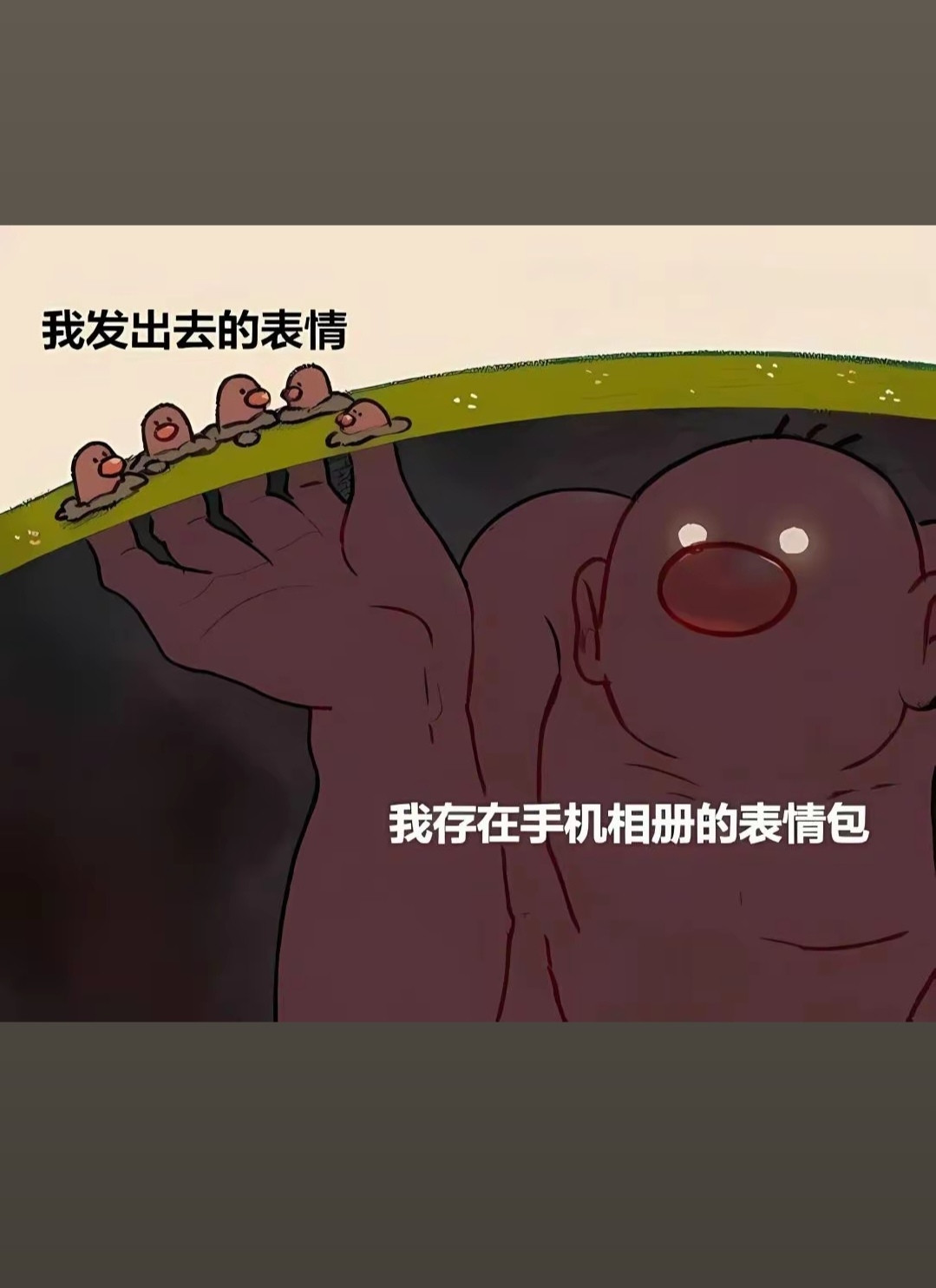 我发出去的表情